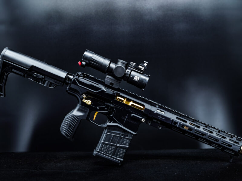 Paladin-8.6 Blackout 12"