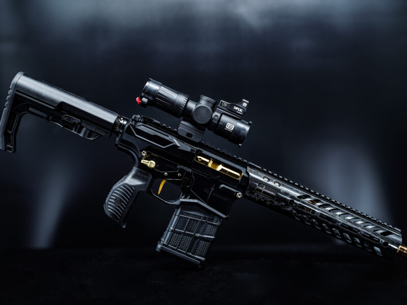 Paladin-8.6 Blackout Carbon 12"